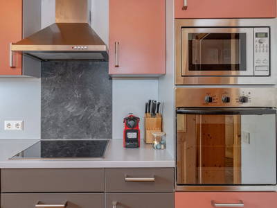 Bild 199 aus  Pleschinhof