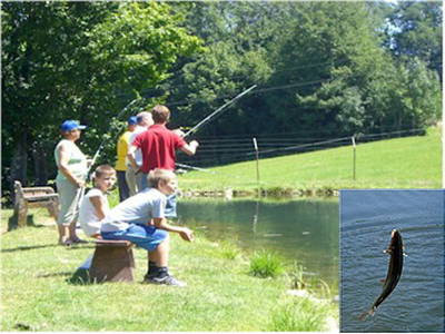 Bild 49 aus  Forellenhof