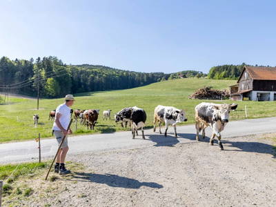 Bild 47 aus  Pircherhof - Adults Only am Biobauernhof