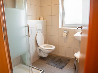 Bild 100 aus  Reiterhof Pfleger