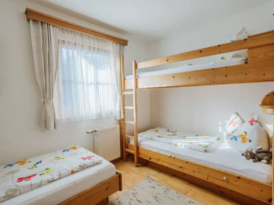 Bild 52 aus  Hattlerhof