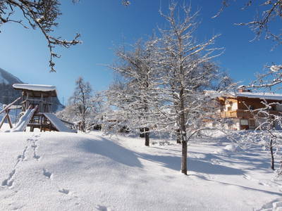 Bild 59 aus  Taxengut