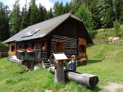 Bild 31 aus Pettacher Hütte