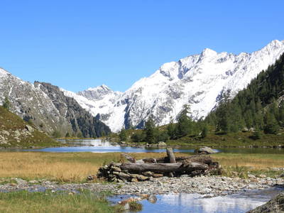 Bild 23 aus  Hansalhof