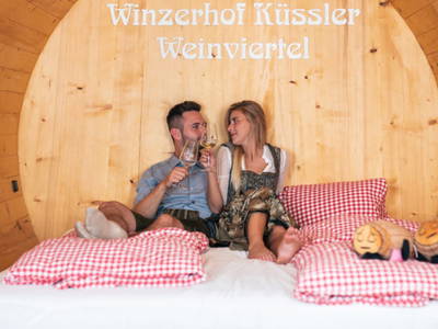 Bild 130 aus  Winzerhof Küssler, Weinviertel