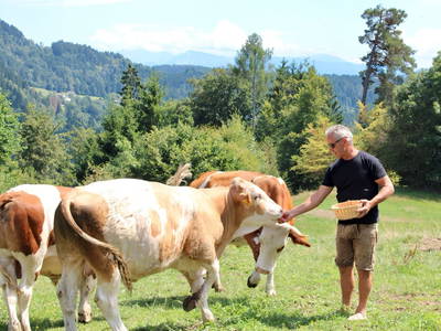 Bild 28 aus  Panorama Ferienhaus am Stopferhof