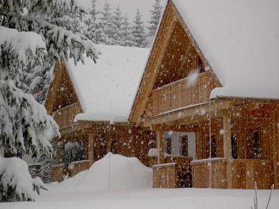 Bild 33 aus  Holzmeisterhütte