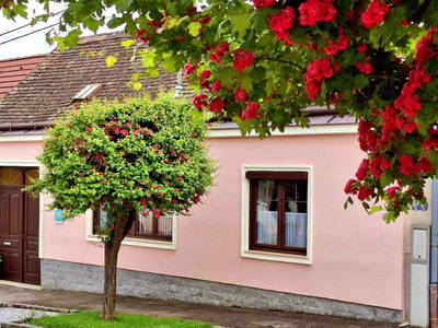 Bild 94 aus Ferienhaus Weinviertel