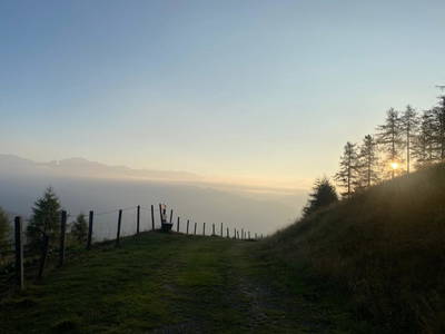 Bild 23 aus  Wallneralm