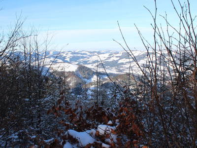 Bild 19 aus  Hirmhof