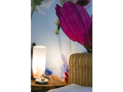 Bild 286 aus  Pimperlhof