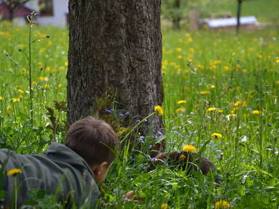 Bild 2 aus  Lassingbauer