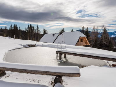 Bild 97 aus  Almchalet Nikola