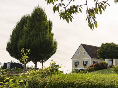 Bild 11 aus  Brandl Obstbauernhof 