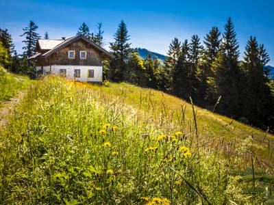 Bild 55 aus  Ebenhütte