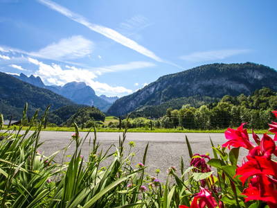 Bild 27 aus  Wildschütz