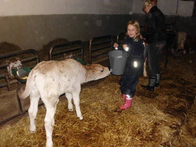 Bild 31 aus  Hanserhof