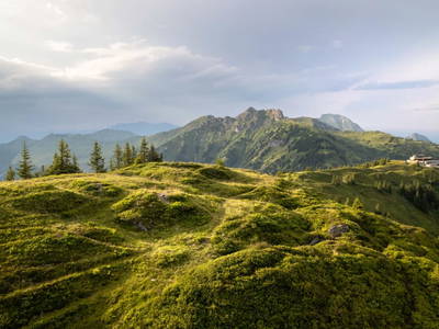 Bild 204 aus  Bio Bauernhof Tobhartbauer