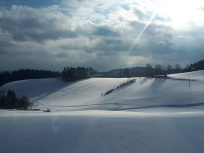 Bild 106 aus  Biohof Stadlbauer