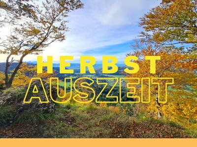 Bild 96 aus  Ferienbauernhof Dür