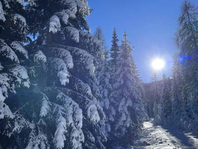 Bild 44 aus  TANAs Almhütte