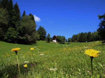 Bild 2 aus  Prebernighütte