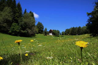 Prebernighütte aus Eisenkappel-Vellach