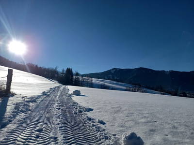 Bild 34 aus  Feuerlehof