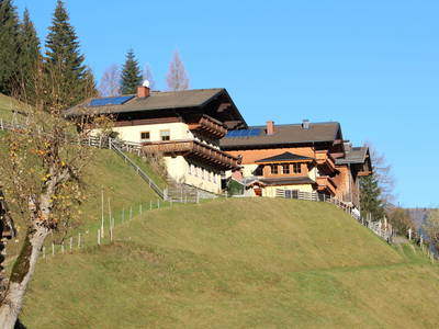 Bild 50 aus  Neuhaus