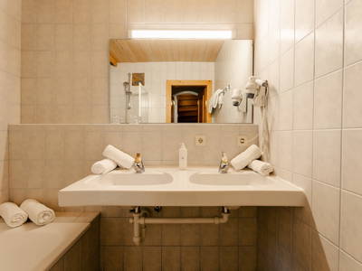 Bild 119 aus  Ferienhof Obergasser & Pension Bergblick