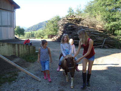 Bild 41 aus  Einkehrhof Poggau