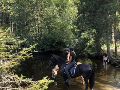 Bild 47 aus  Podolerhof - Hüttenurlaub