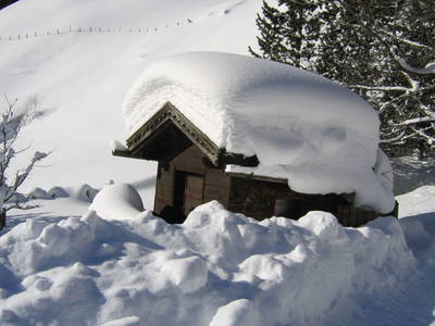 Bild 43 aus  Bio- und Kinderbauernhof Voglbach