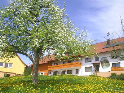 Bild 4 aus  Hermannshöhe