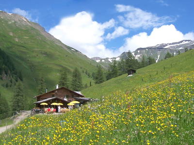 Bild 2 aus  Fleisskuchl