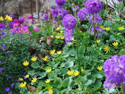 Bild 52 aus  Ployergut