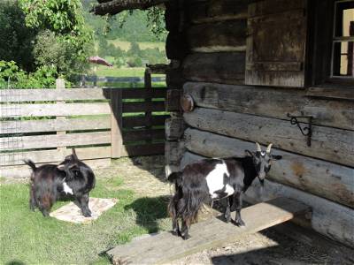 Bild 20 aus Ebnerhof