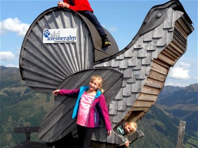 Bild 21 aus Christerbauerhof