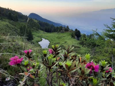 Bild 55 aus  Almhütte Pucher