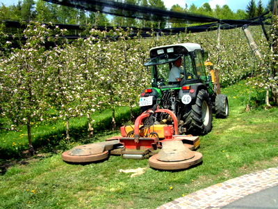 Bild 35 aus Apfelhof