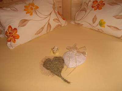 Bild 99 aus  Hoisnhof - Urlaub am Bauernhof - Gries im Sellrain