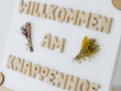 Bild 26 aus  Knappenhof