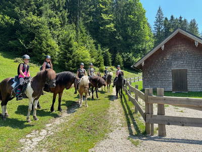 Bild 41 aus Reiterhof Suassbauer