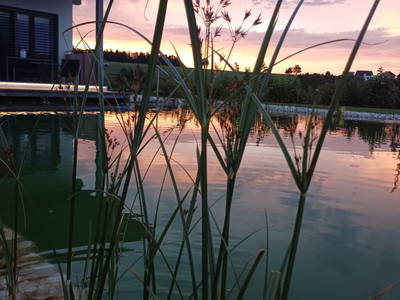 Bild 42 aus  Schnatterhof