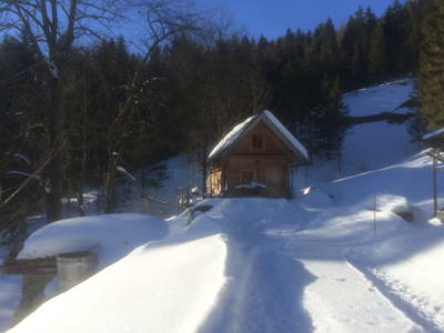 Bild 30 aus  Holzknechthütte