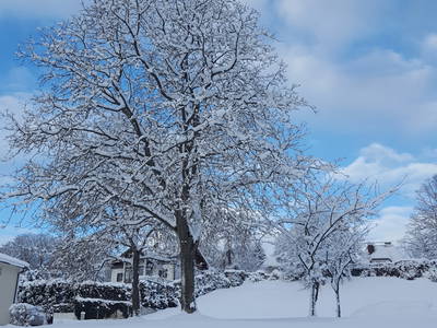 Bild 51 aus  Ferienhof Leopold in der Grub