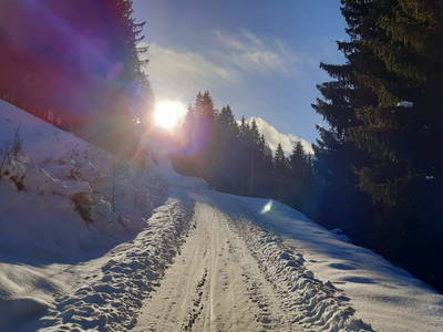 Bild 46 aus  Hoislbauernhütte
