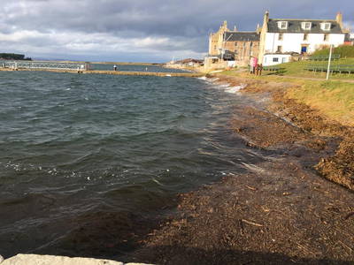 Bild 19 aus  Doune Cottage Findhorn