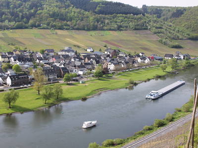 Mosel bei Ernst