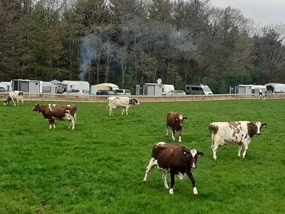 Bild 4 aus  Campinghof Dreisprung